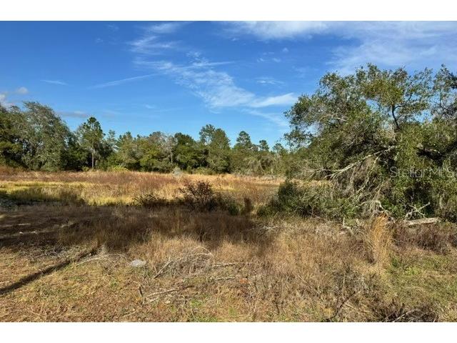 195 Lake Molly Avenue Deland FL 32724 O6376094 image6