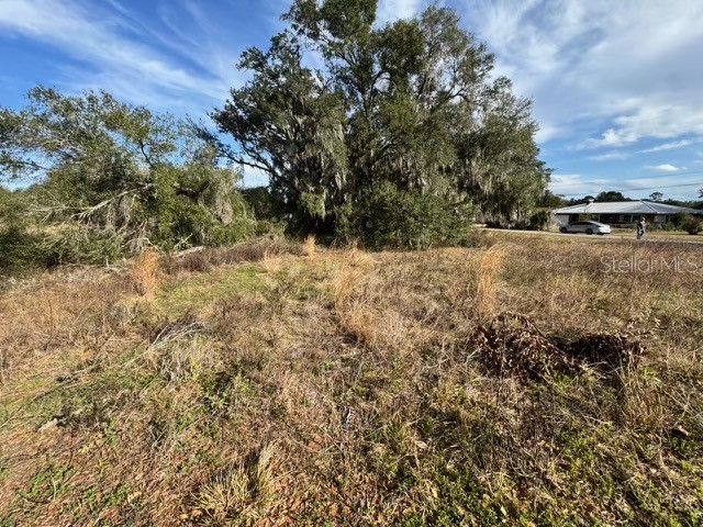 195 Lake Molly Avenue Deland FL 32724 O6376094 image7