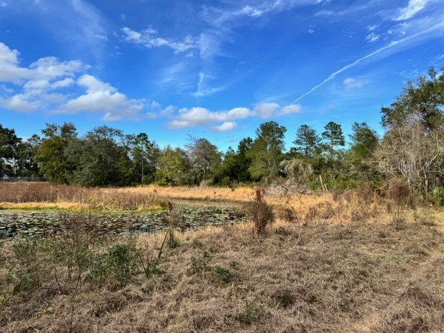 195 Lake Molly Avenue Deland FL 32724 O6376370 image10