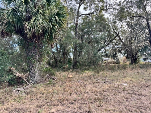 195 Lake Molly Avenue Deland FL 32724 O6376370 image11