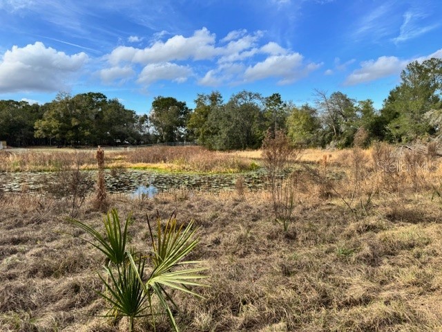 195 Lake Molly Avenue Deland FL 32724 O6376370 image12