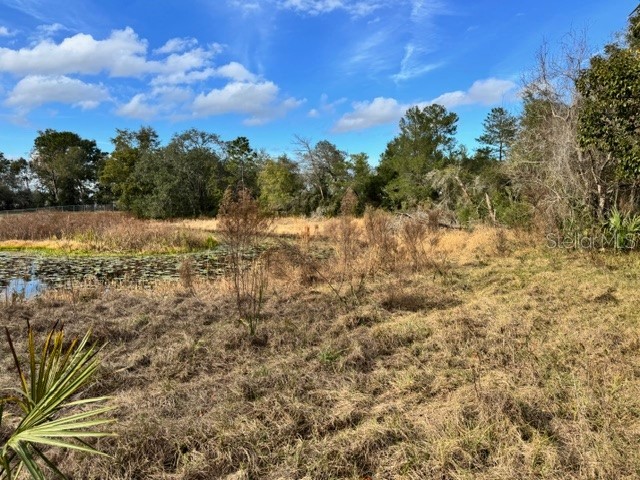 195 Lake Molly Avenue Deland FL 32724 O6376370 image13