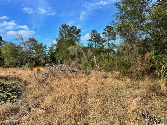 195 Lake Molly Avenue Deland FL 32724 O6376370 image15