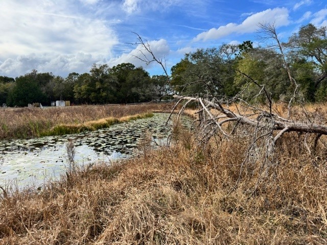195 Lake Molly Avenue Deland FL 32724 O6376370 image17