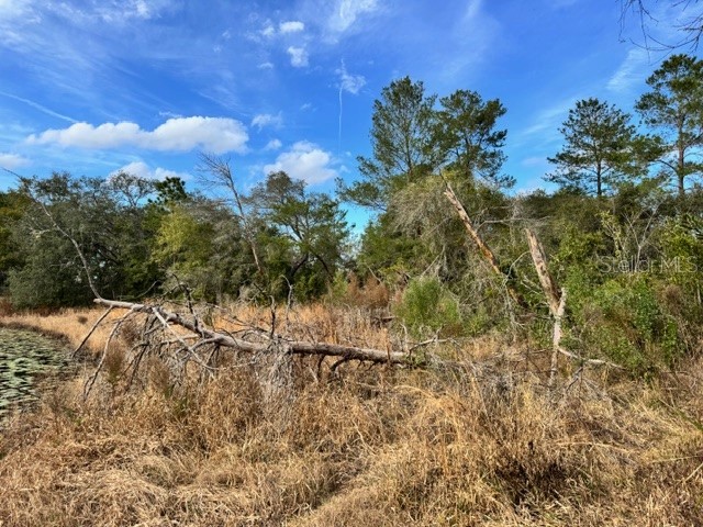 195 Lake Molly Avenue Deland FL 32724 O6376370 image19
