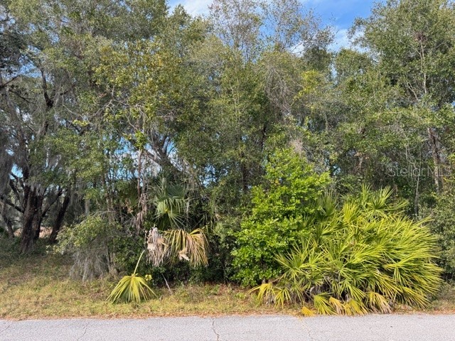 195 Lake Molly Avenue Deland FL 32724 O6376370 image2