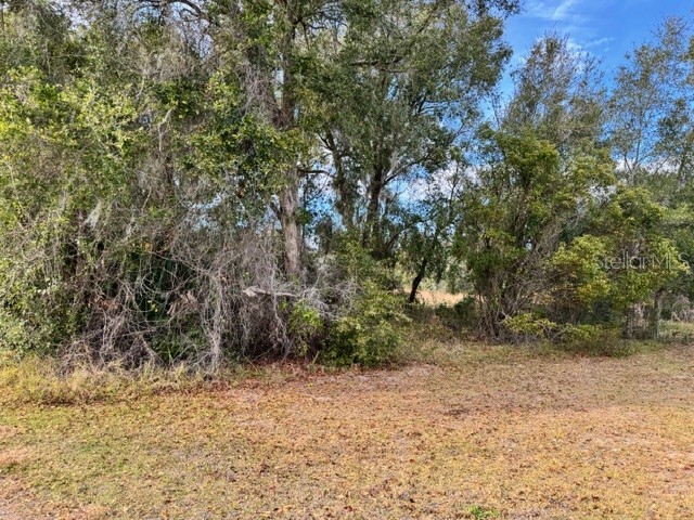 195 Lake Molly Avenue Deland FL 32724 O6376370 image3