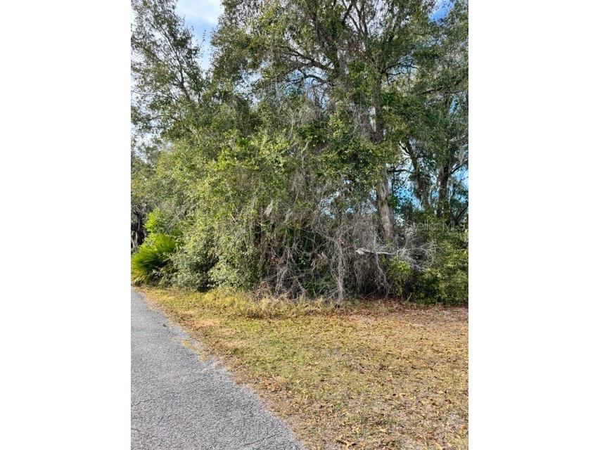 195 Lake Molly Avenue Deland FL 32724 O6376370 image5