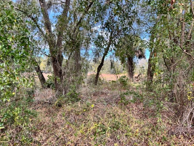 195 Lake Molly Avenue Deland FL 32724 O6376370 image6