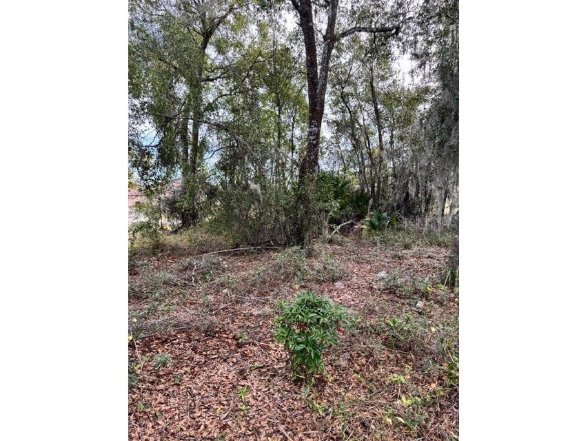 195 Lake Molly Avenue Deland FL 32724 O6376370 image7