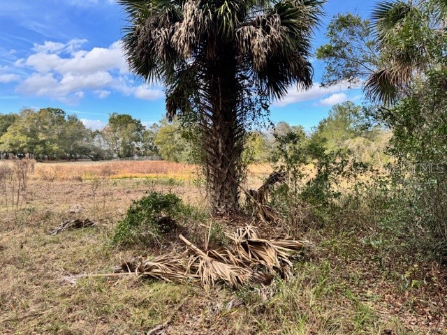 195 Lake Molly Avenue Deland FL 32724 O6376370 image8
