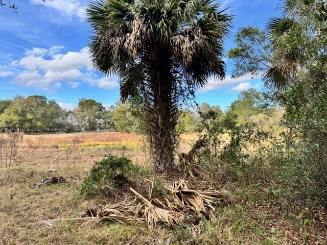 195 Lake Molly Avenue Deland FL 32724 O6376370 image9