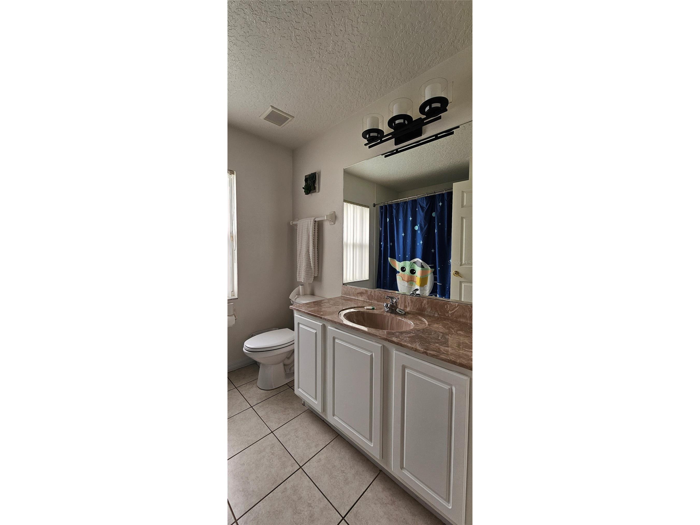 195 Minniehaha Circle Haines City FL 33844 S5153181 image17
