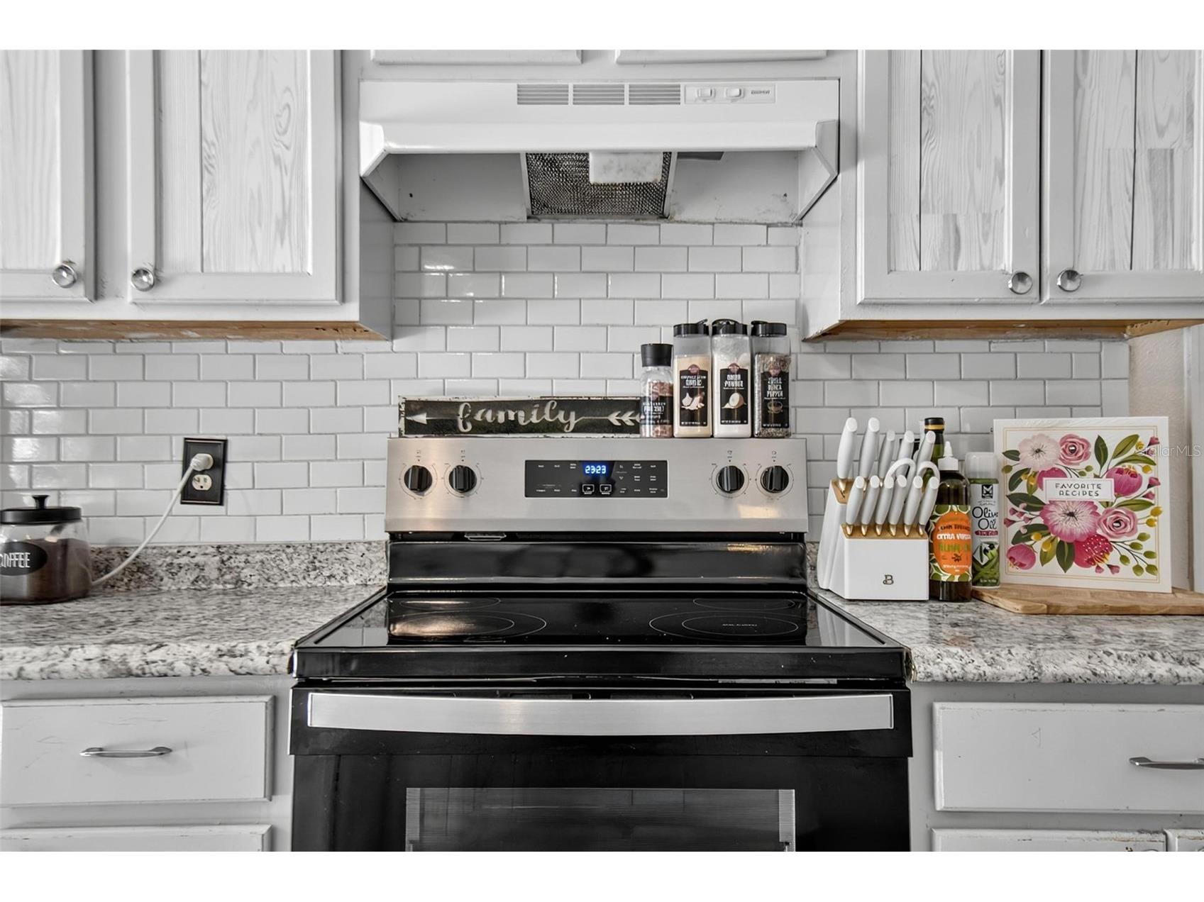 195 Parkview Drive Palm Coast FL 32164 FC319143 image41