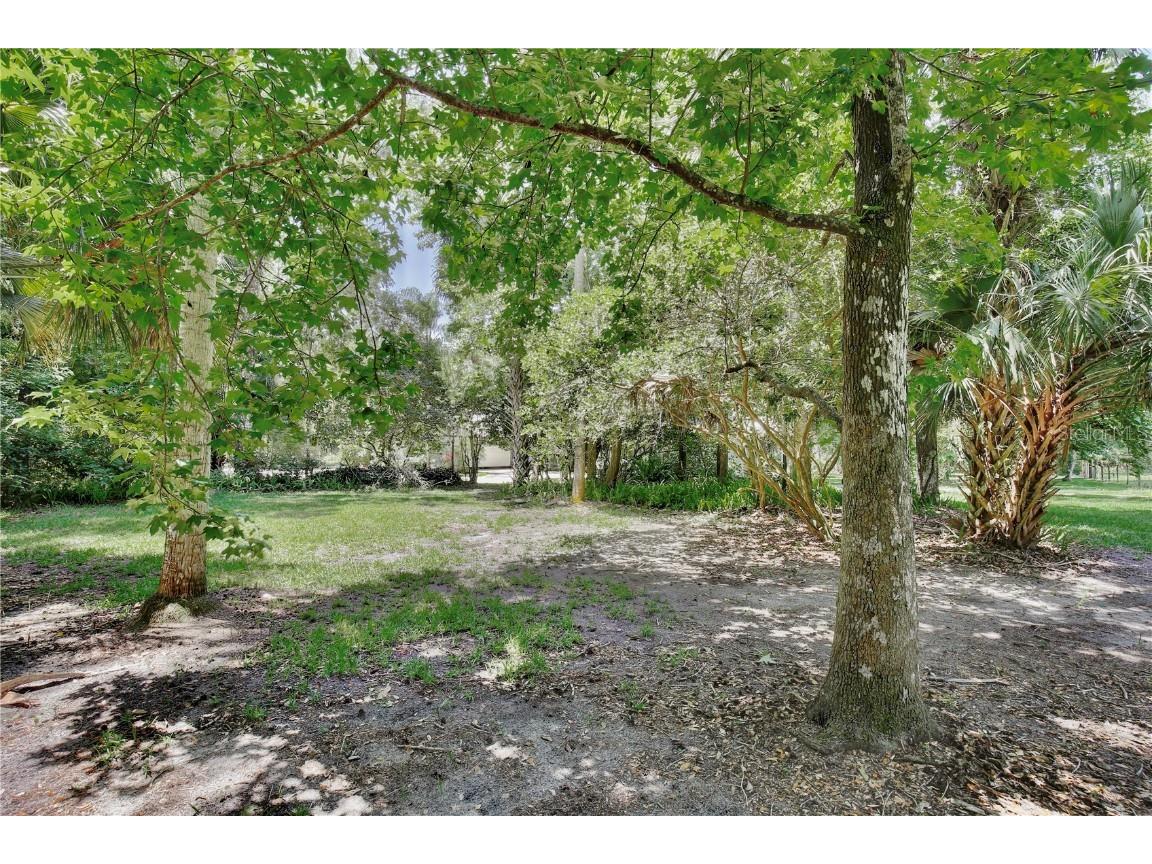 195 Parsons Road Longwood FL 32779 O6311740 image21