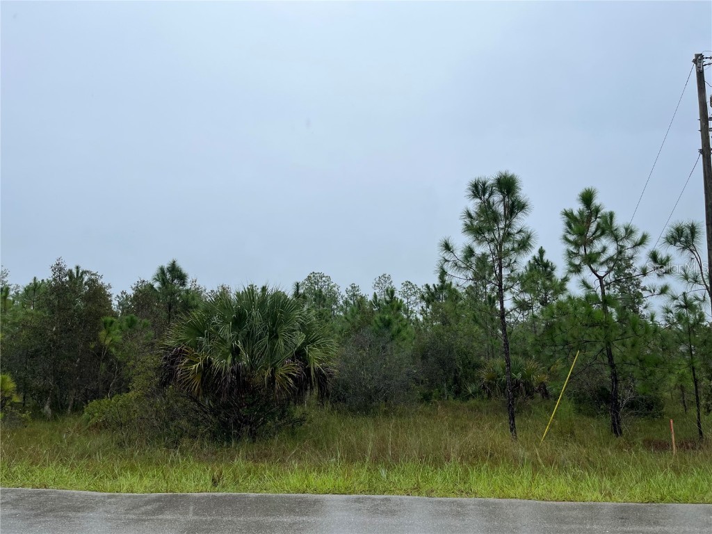 1950/1952 Magenta Avenue Lehigh Acres FL 33972 OK223218 image1