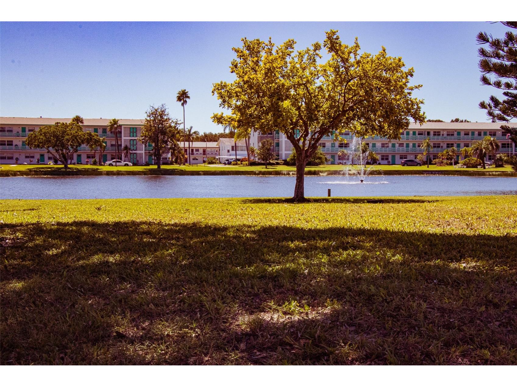1950 58th Avenue N #10 Saint Petersburg FL 33714 TB8523682 image38