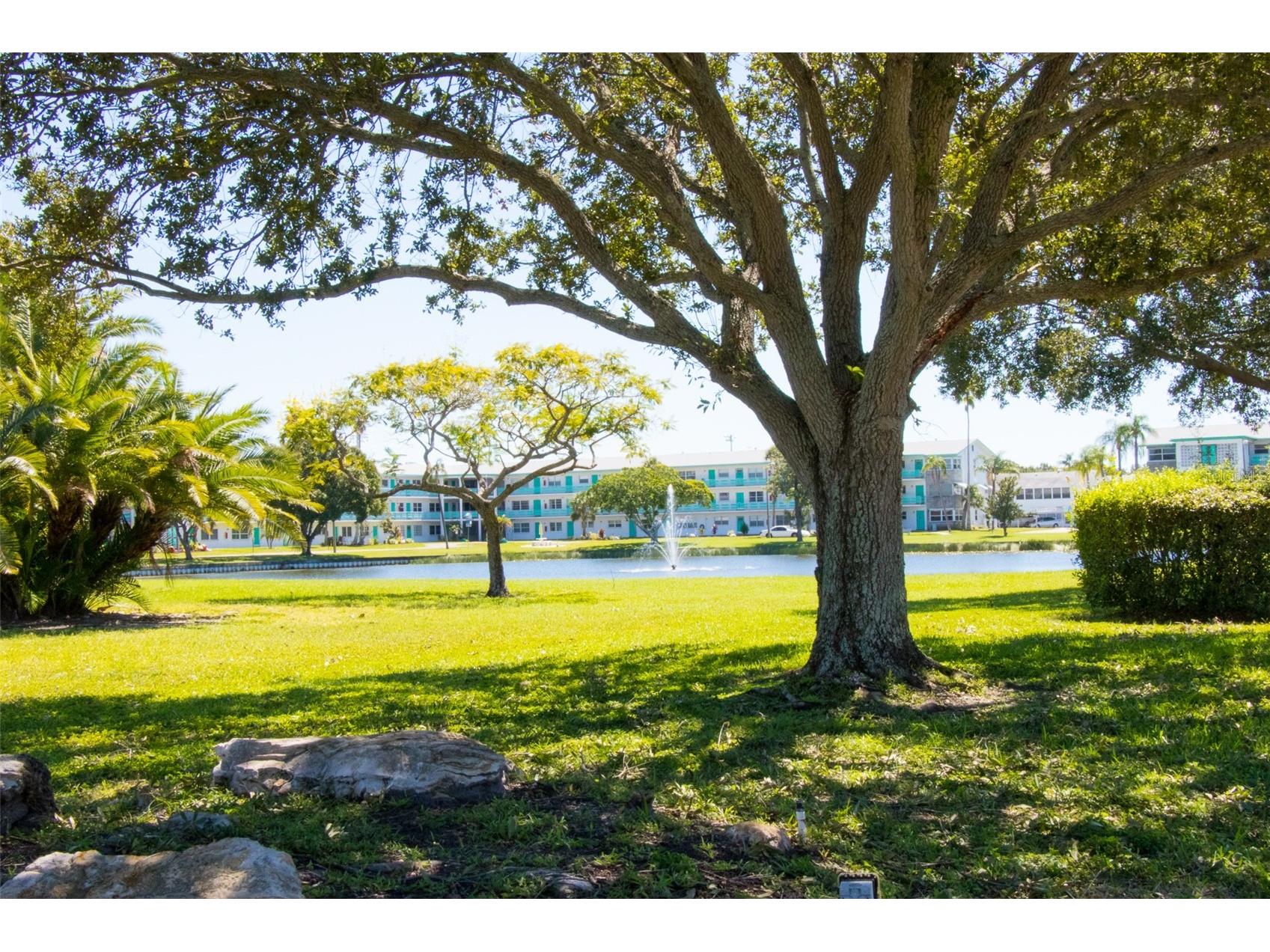 1950 58th Avenue N #10 Saint Petersburg FL 33714 TB8523682 image42