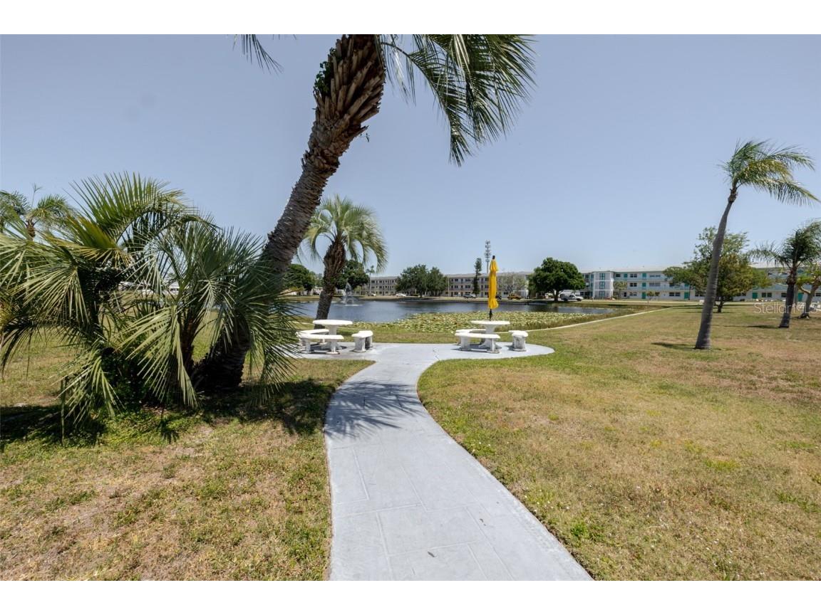 1950 59th Avenue N #208 Saint Petersburg FL 33714 TB8376370 image22