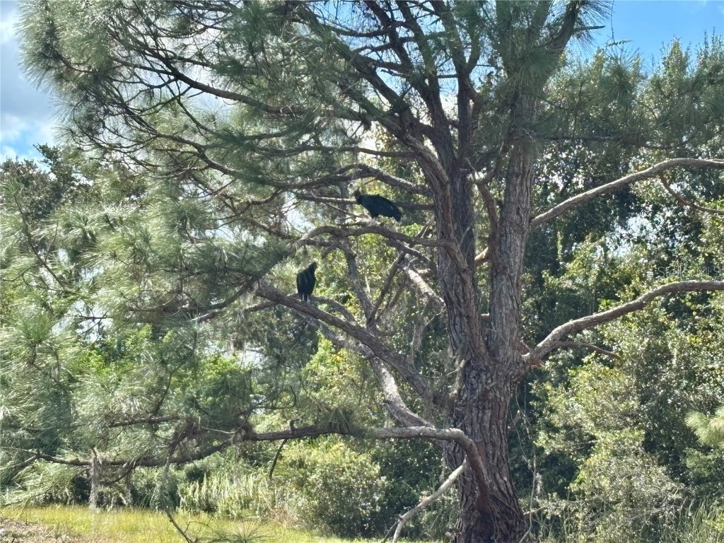 1950 Bern Creek Loop Sarasota FL 34240 A4669098 image58