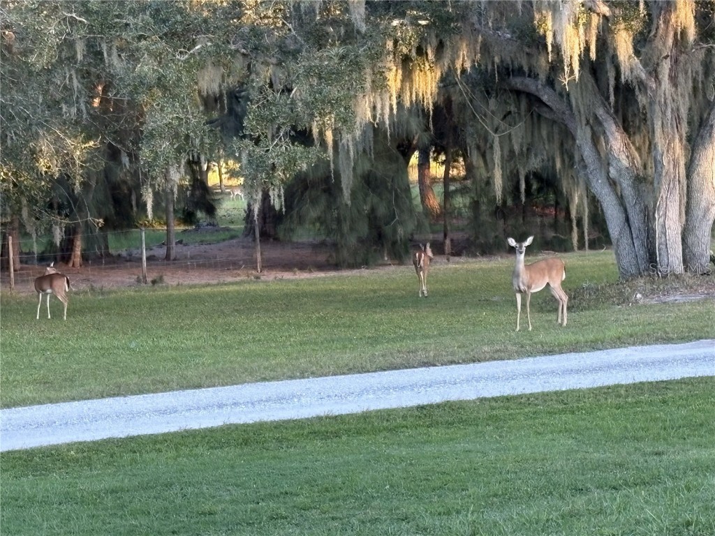 1950 Bern Creek Loop Sarasota FL 34240 A4669098 image60