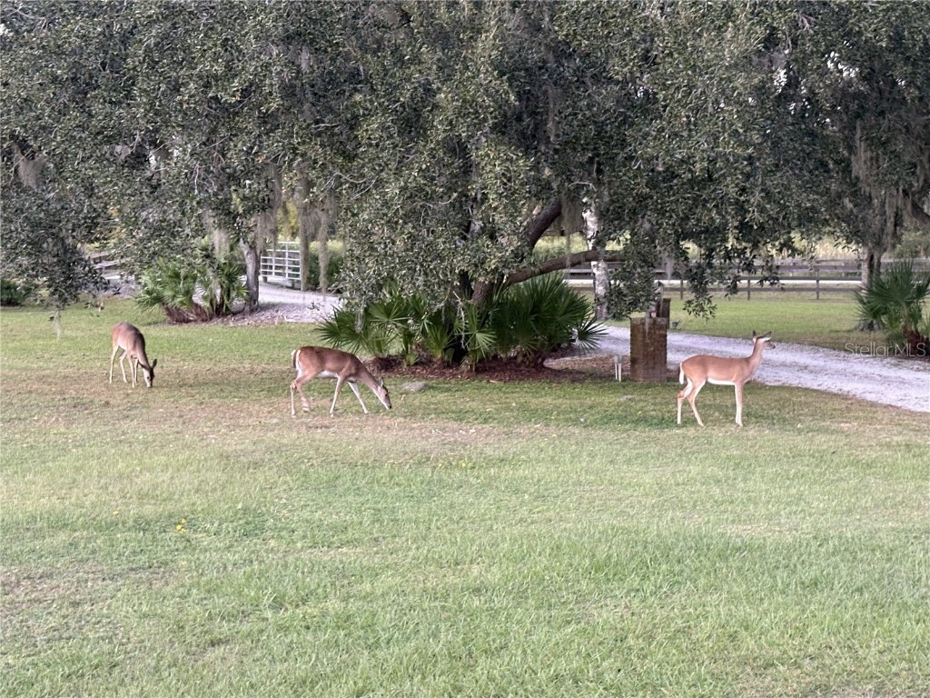 1950 Bern Creek Loop Sarasota FL 34240 A4669098 image61