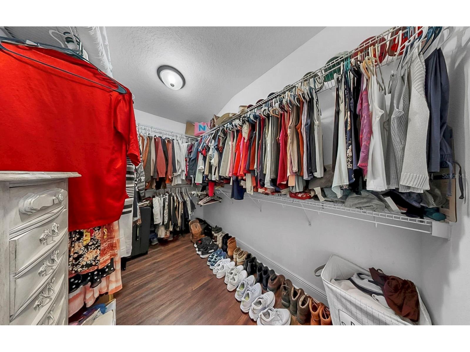 1950 Milkweed Trace Lutz FL 33558 TB8436117 image39