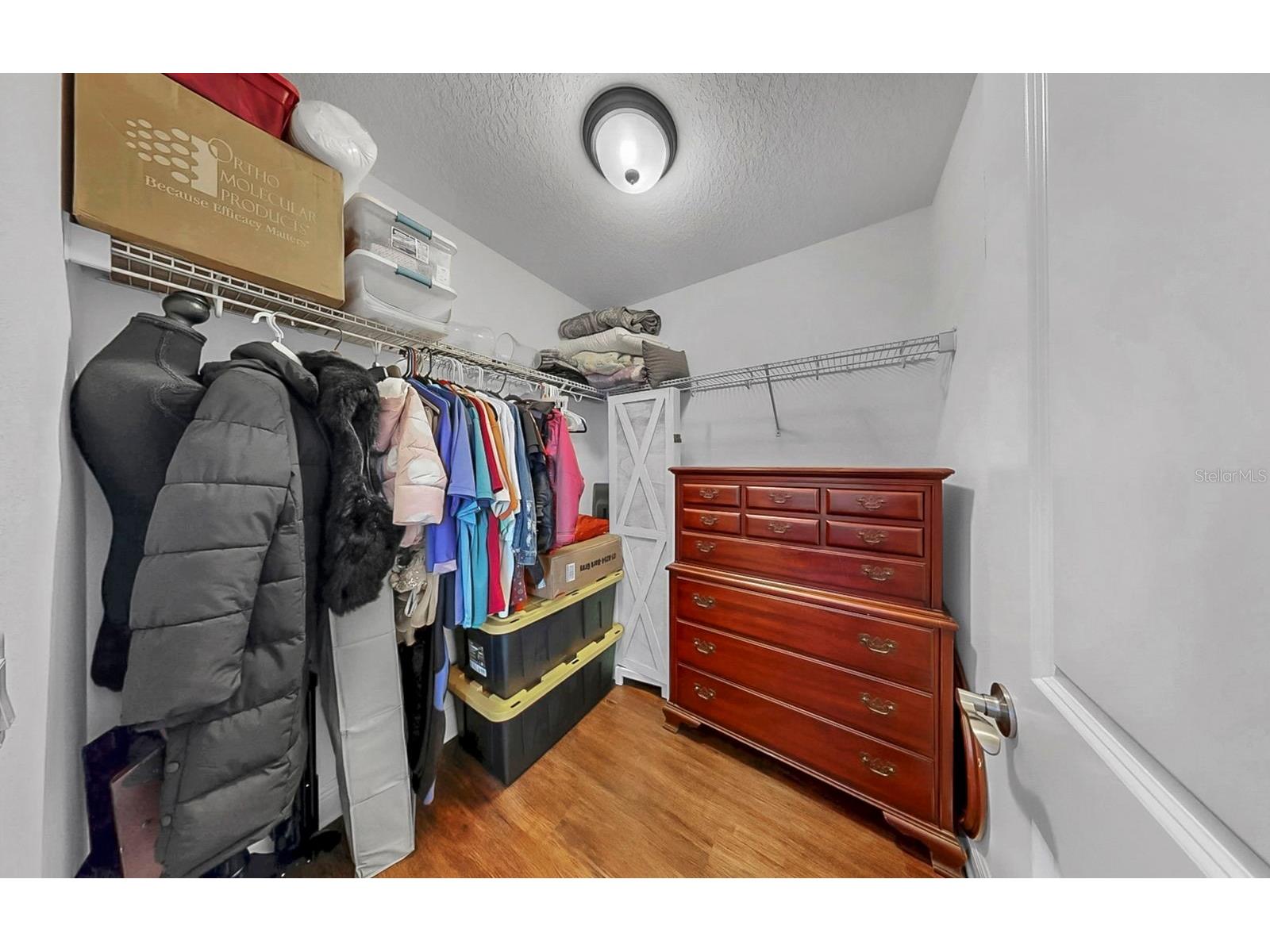 1950 Milkweed Trace Lutz FL 33558 TB8436117 image41