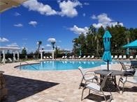 1950 Milkweed Trace Lutz FL 33558 TB8436117 image60