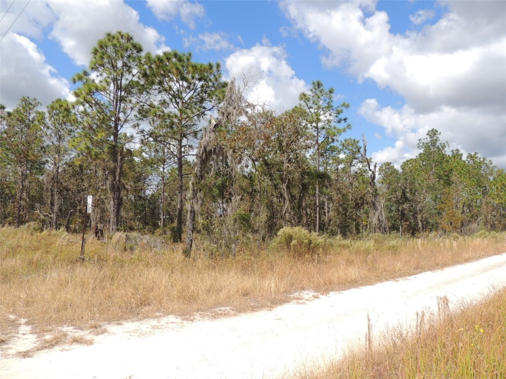 1950 NE 123rd Avenue Williston FL 32696 OM647905 image1