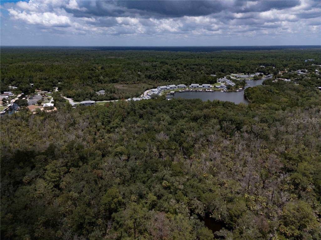 1950 NW 19th Street Crystal River FL 34428 OM705619 image11