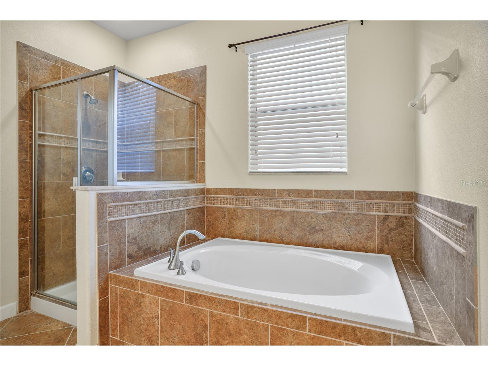 1950 Pantheon Drive Winter Garden FL 34787 O6418888 image27