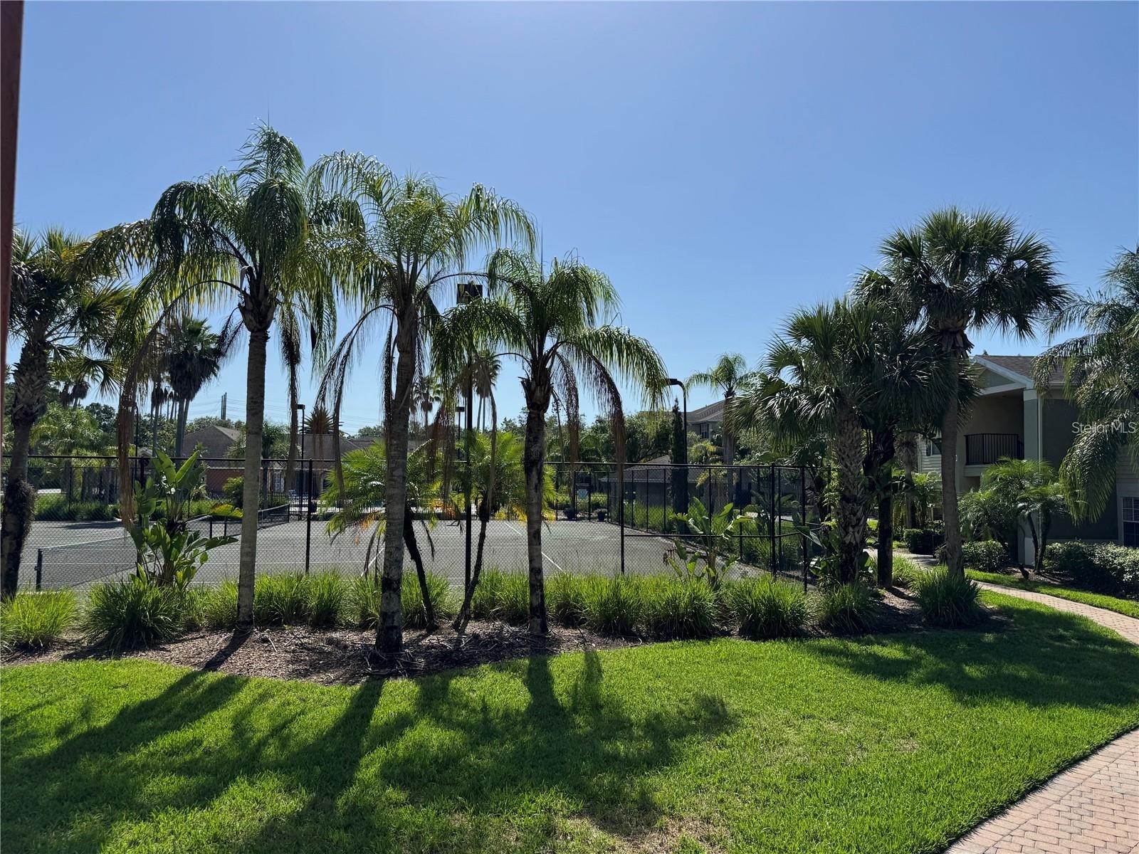 1950 Summer Club Drive #202 Oviedo FL 32765 O6400027 image36