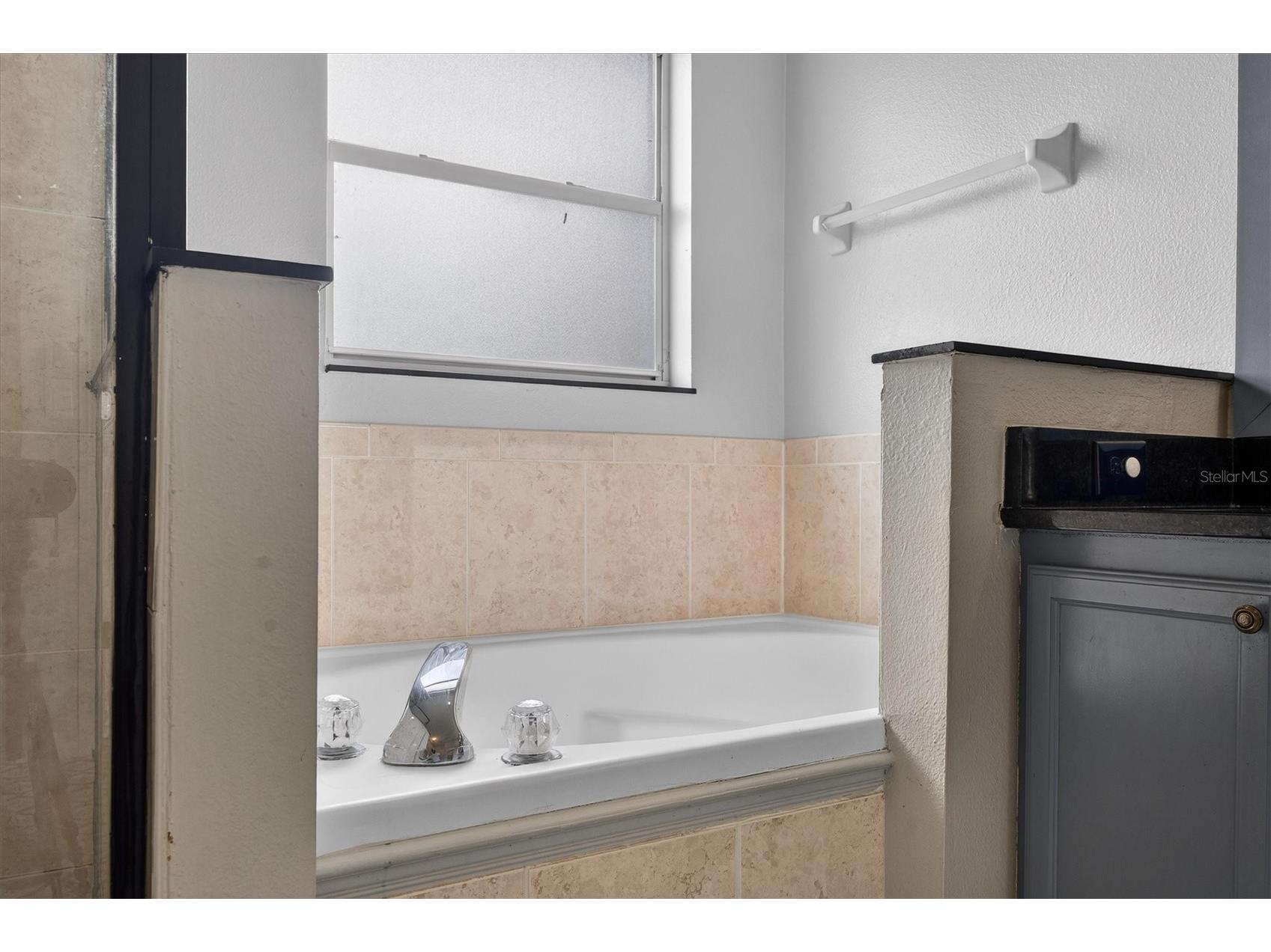 19500 Glen Elm Way Orlando FL 32833 O6388357 image27