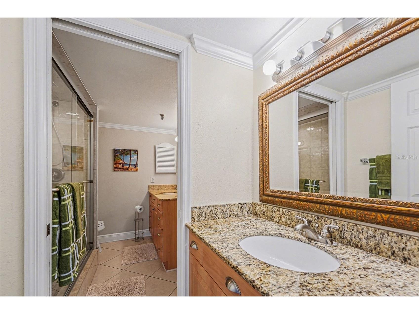 19500 Gulf Boulevard #102 Indian Shores FL 33785 - GULF OF MEXICO TB8471201 image16