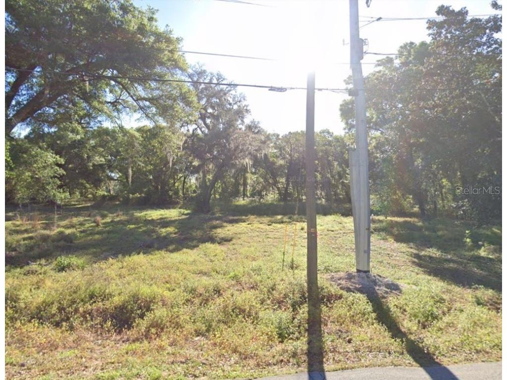 19500 Old Trilby Road Dade City FL 33523 U8212925 image1