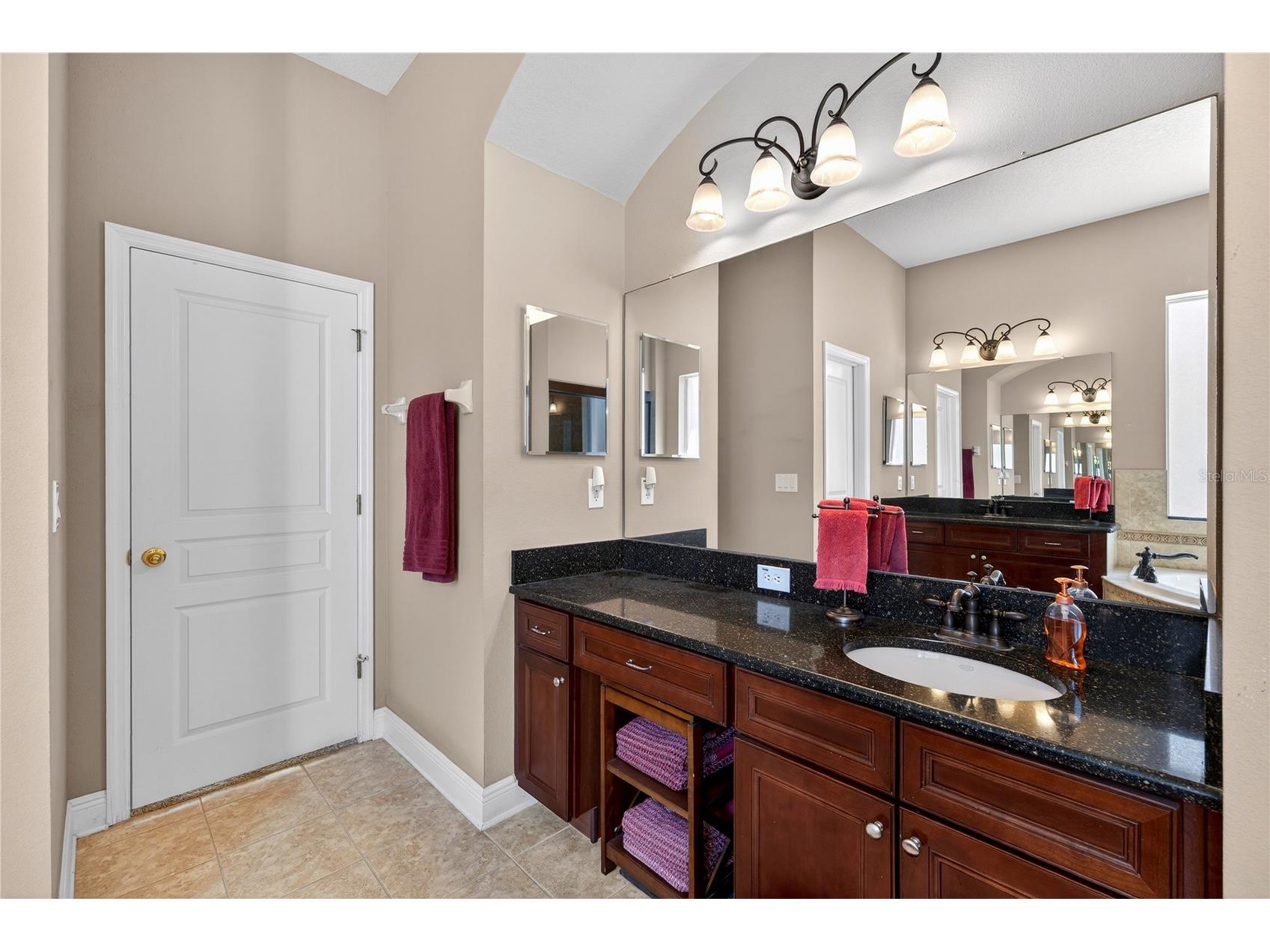 19502 Mossy Oak Court Brooksville FL 34601 W7883569 image29