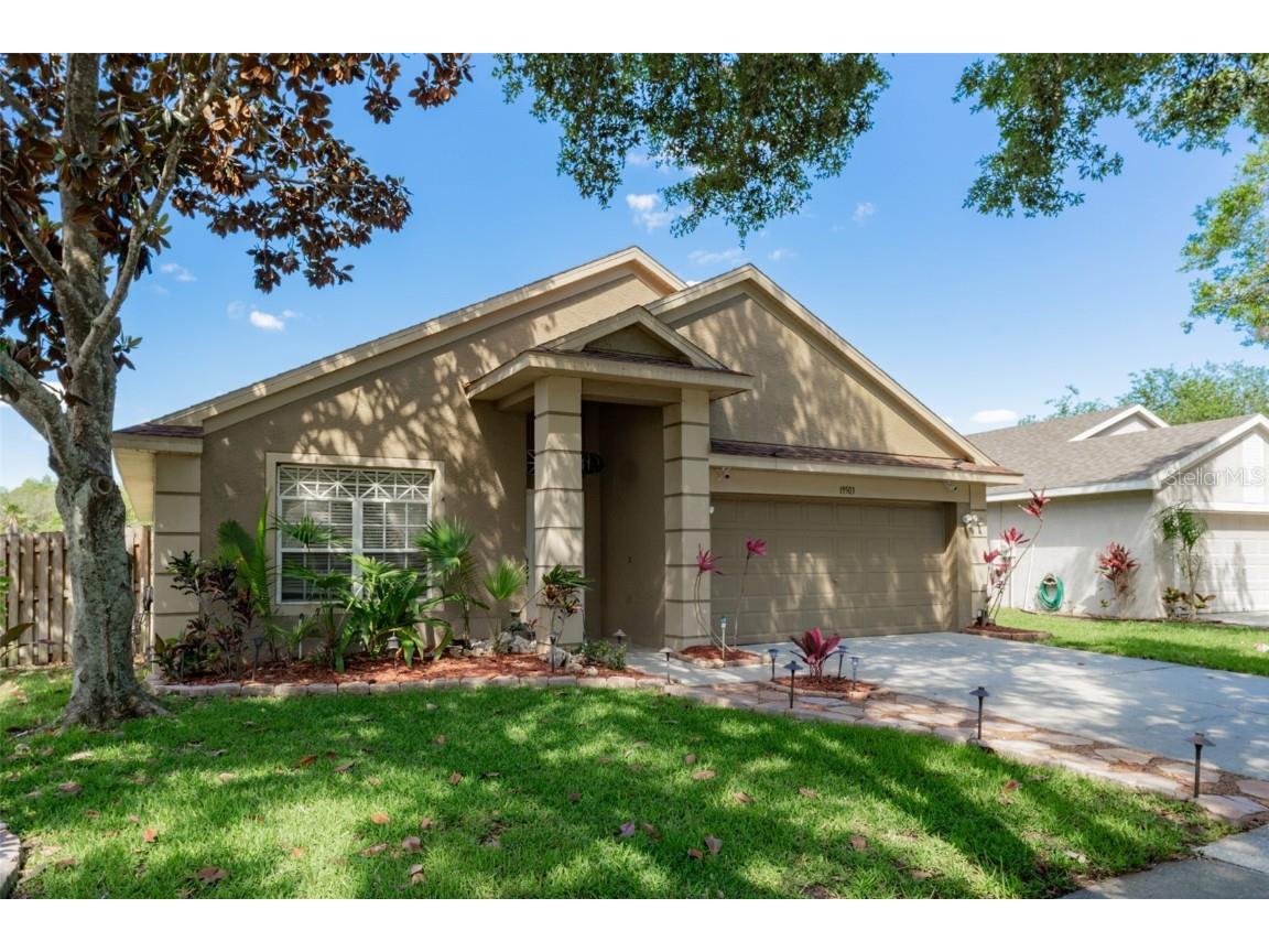 19503 Morden Blush Dr Lutz FL 33558 T3441116 image1