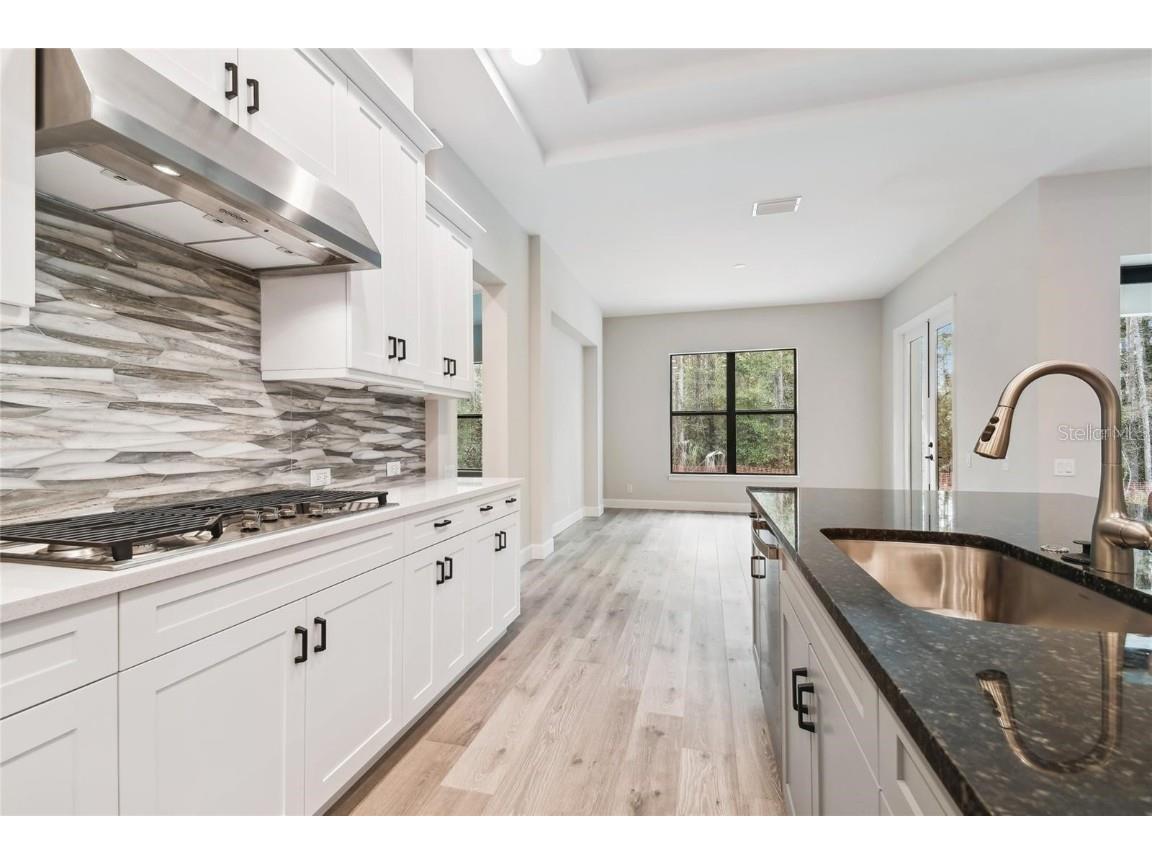 19504 Sheltered Hill Drive Brooksville FL 34601 TB8322119 image3