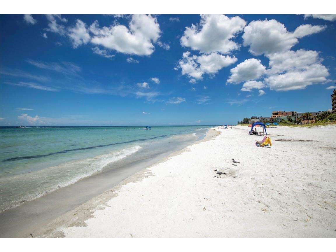 19505 Gulf Boulevard #304 Indian Shores FL 33785 TB8450053 image90