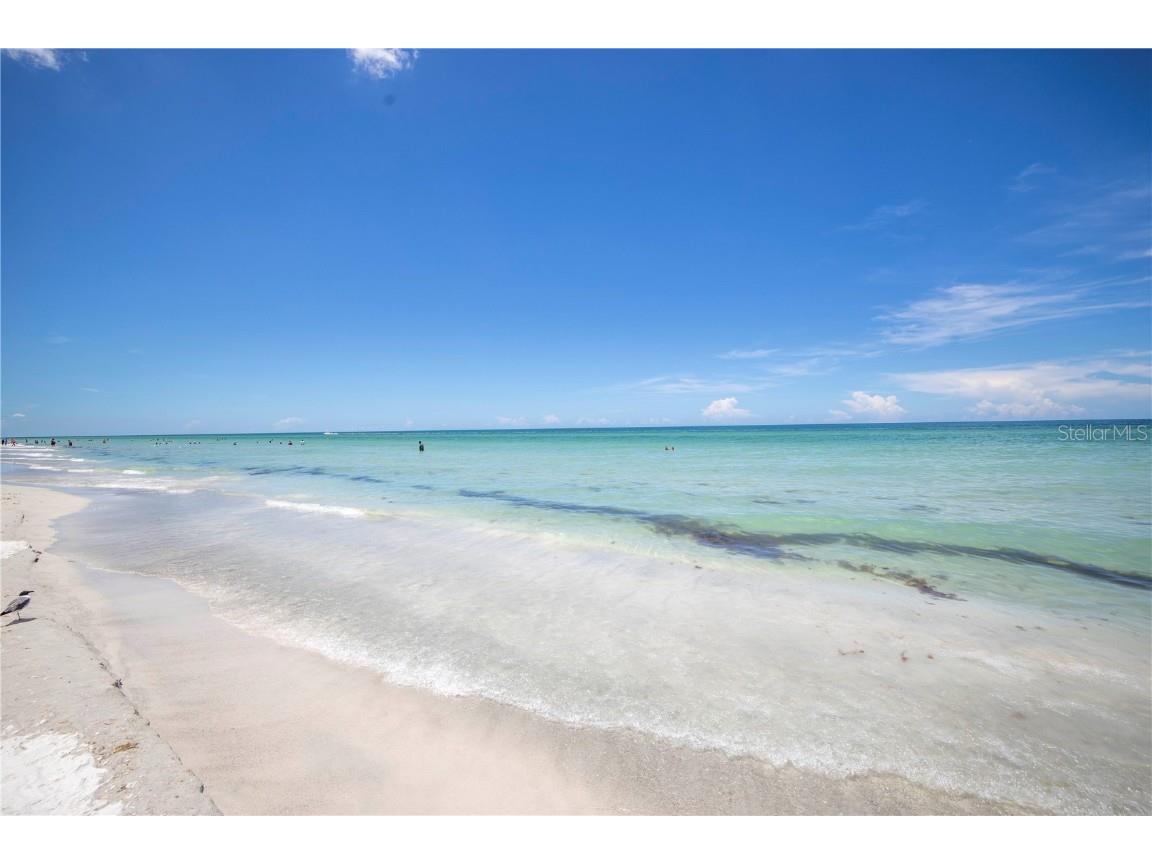 19505 Gulf Boulevard #304 Indian Shores FL 33785 TB8450053 image94