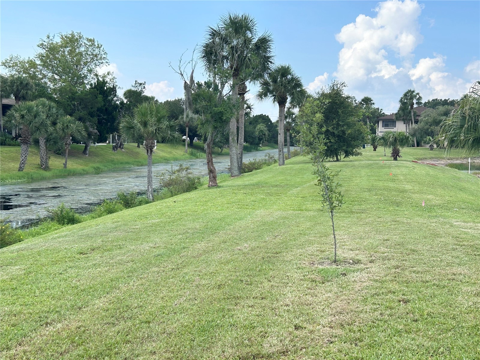19505 Quesada Avenue #AA201 Port Charlotte FL 33948 C7527400 image47