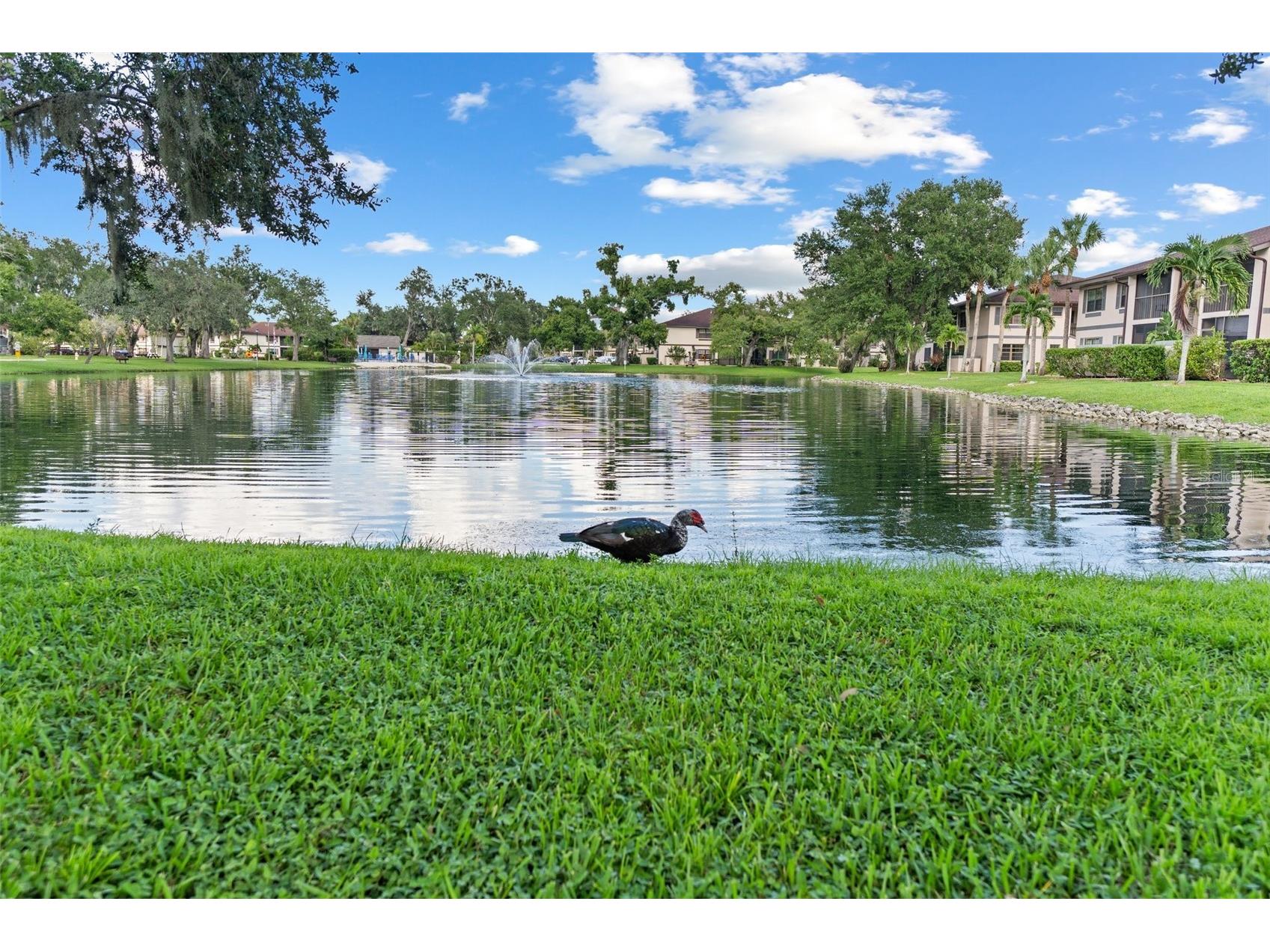 19505 Quesada Avenue #VV201 Port Charlotte FL 33948 A4686071 image37