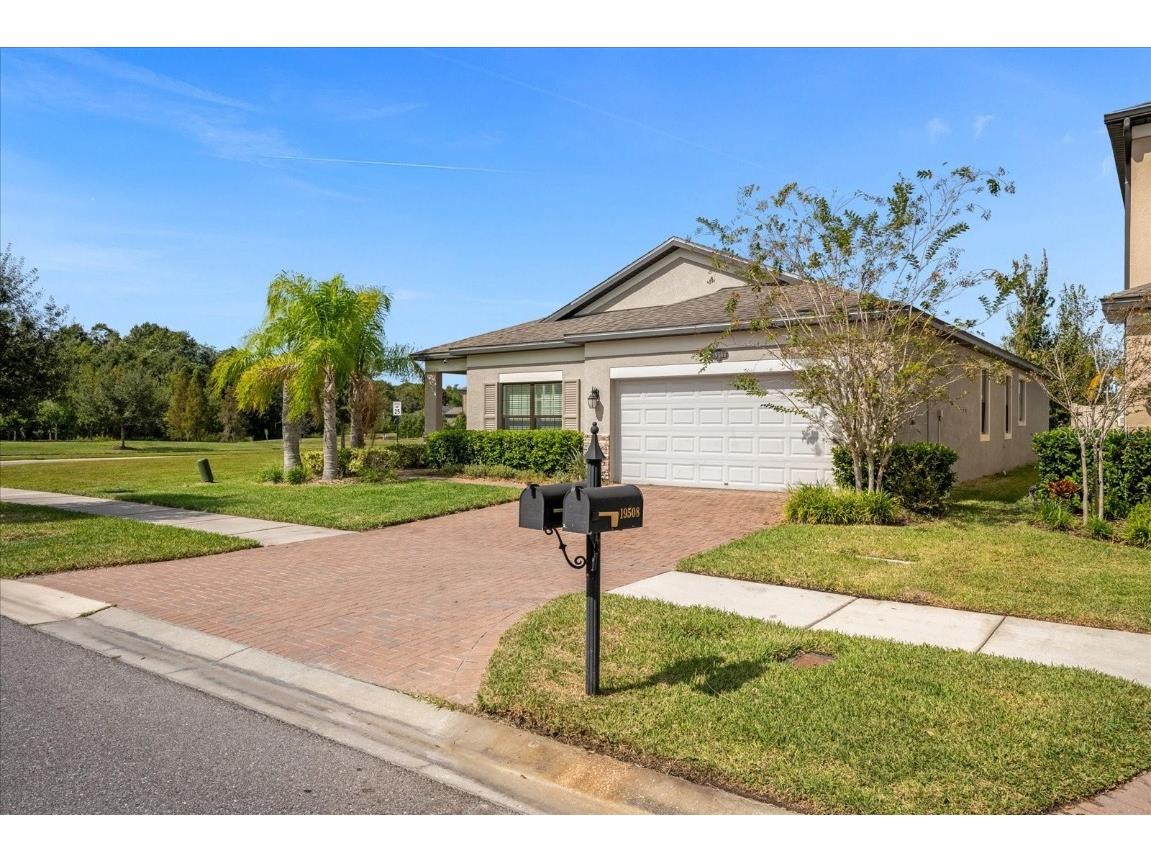 19506 Whispering Brook Drive Tampa FL 33647 U8218910 image1