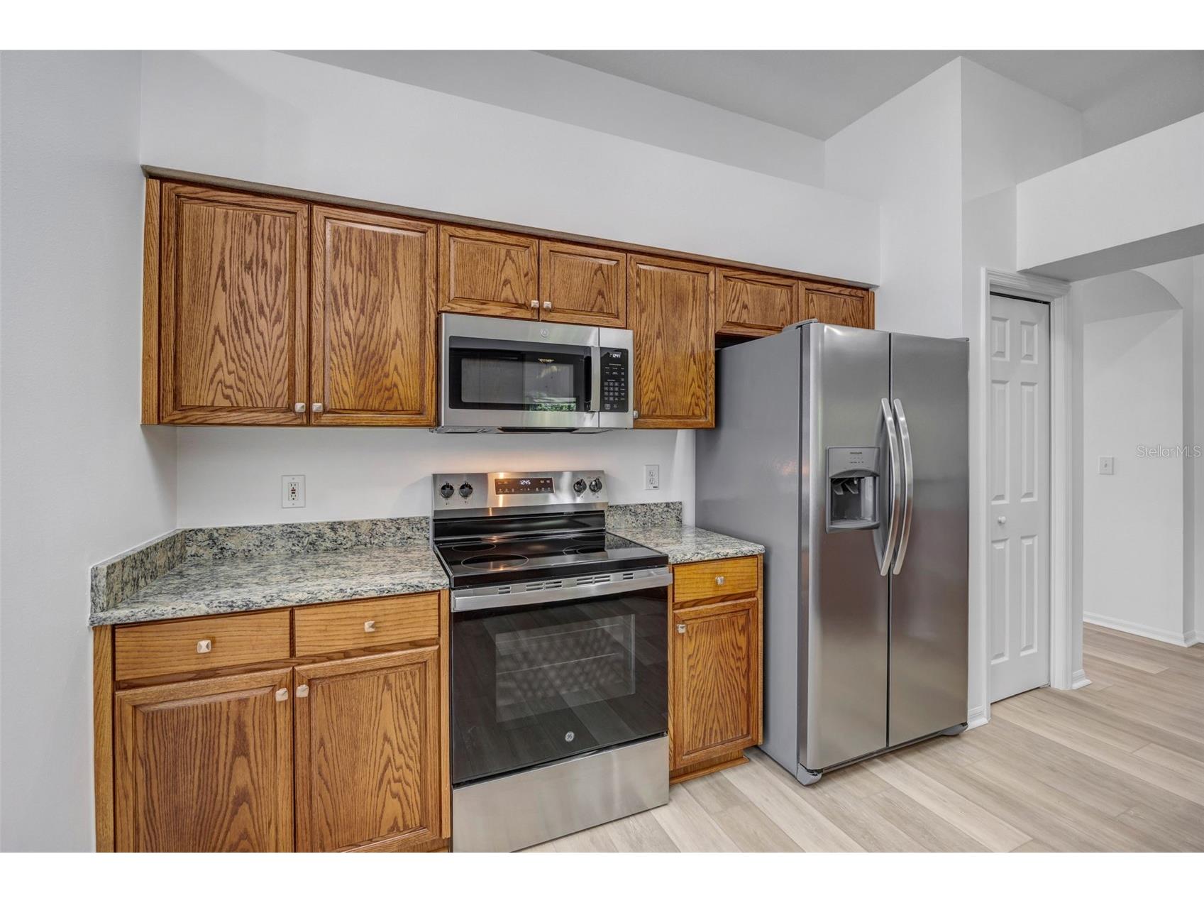 19507 Ardwick Way Land O Lakes FL 34638 TB8508552 image11