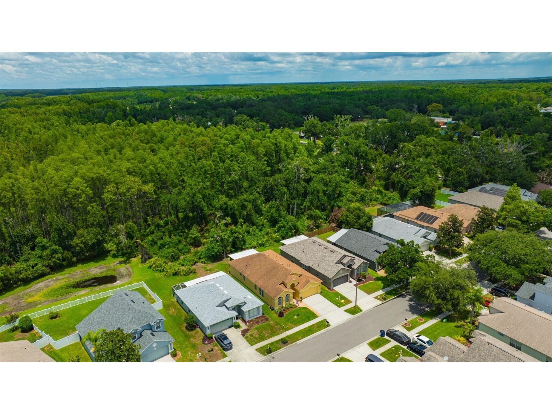 19507 Ardwick Way Land O Lakes FL 34638 TB8508552 image49