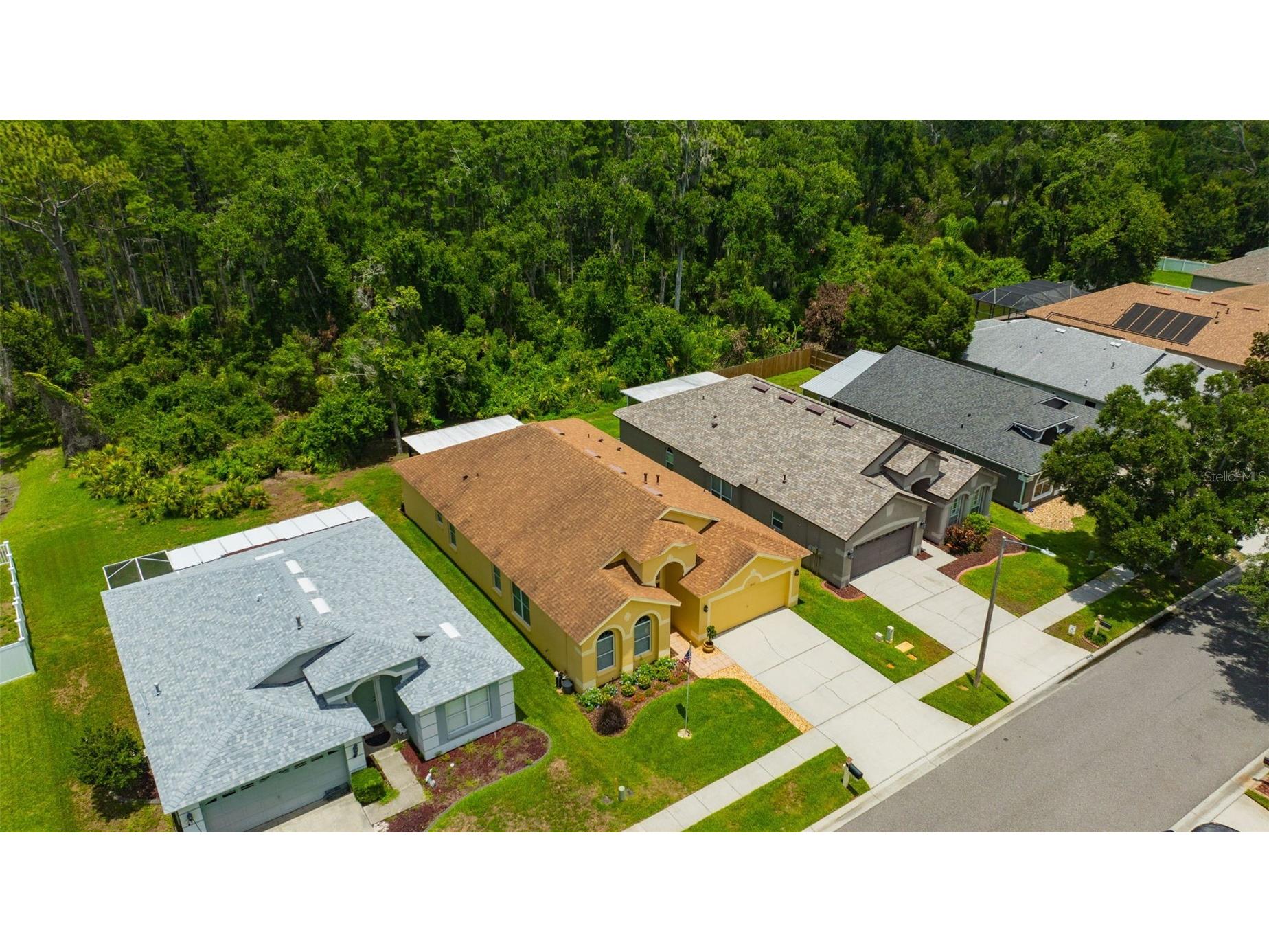 19507 Ardwick Way Land O Lakes FL 34638 TB8508552 image51