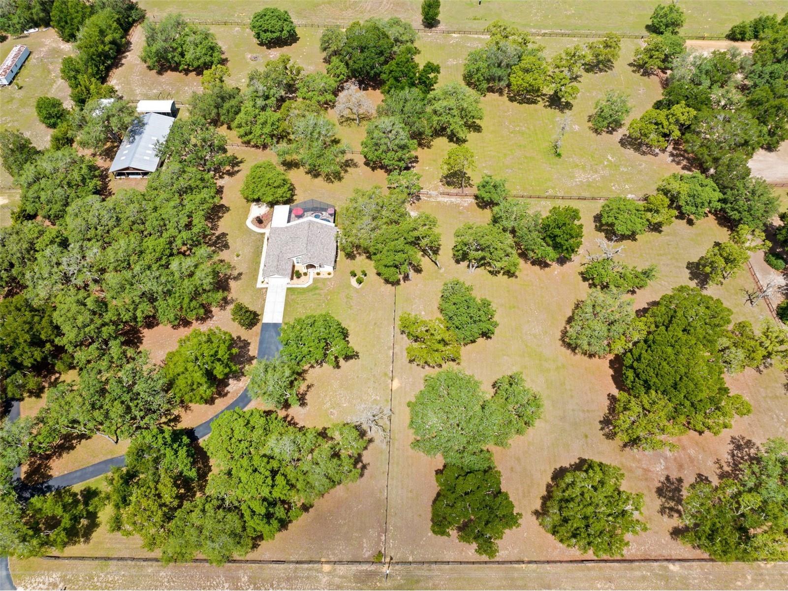 19509 Paso Fino Way Dade City FL 33523 W7886224 image11