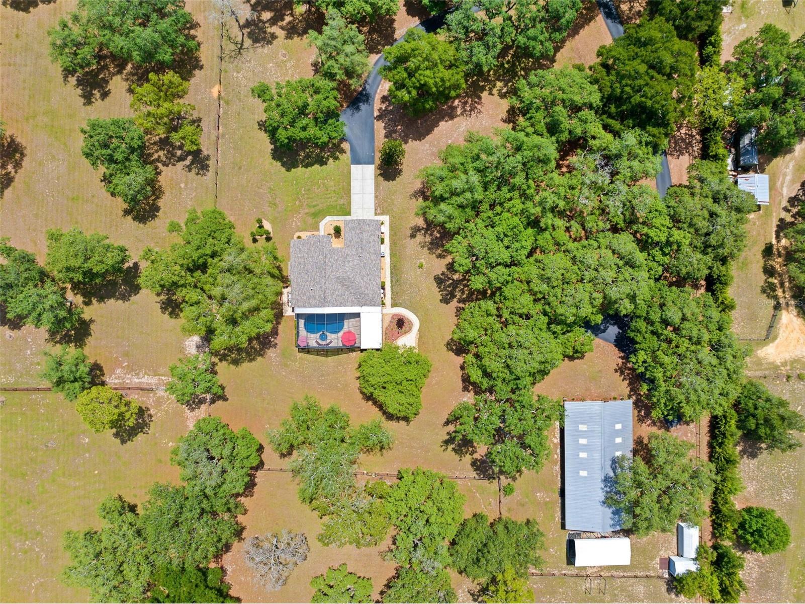 19509 Paso Fino Way Dade City FL 33523 W7886224 image13