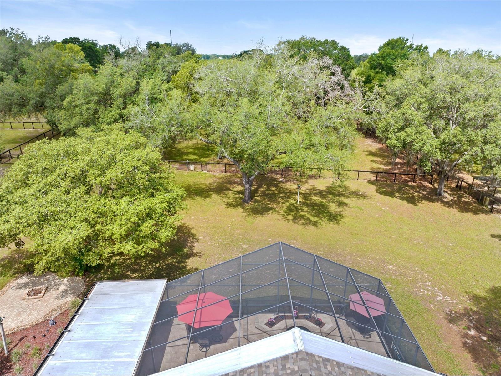 19509 Paso Fino Way Dade City FL 33523 W7886224 image15